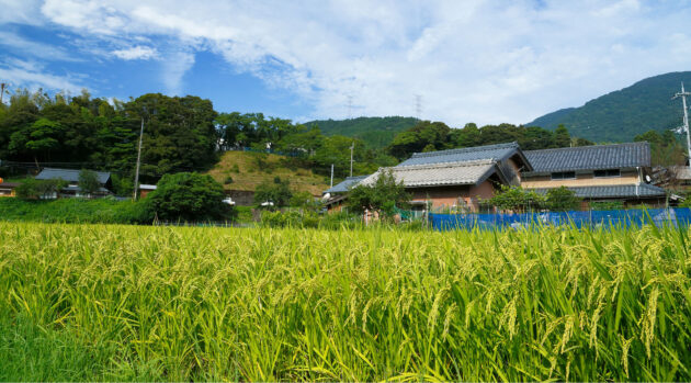 応援ミッションのテスト11