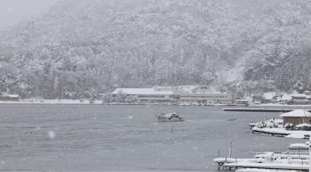 応援ミッションのテスト11