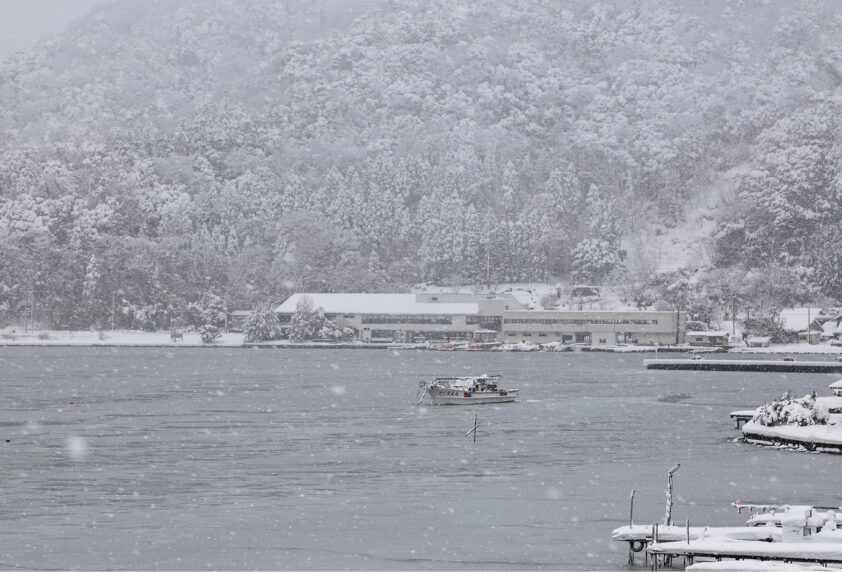 応援ミッションのテスト1